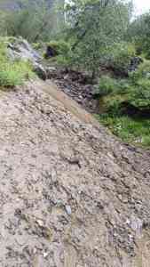 भारी वर्षा के कारण बदरीनाथ हाईवे पांच स्थानों पर मलवा आने से बाधित, 40 से अधिक लिंक मोटर मार्ग भी बाधित