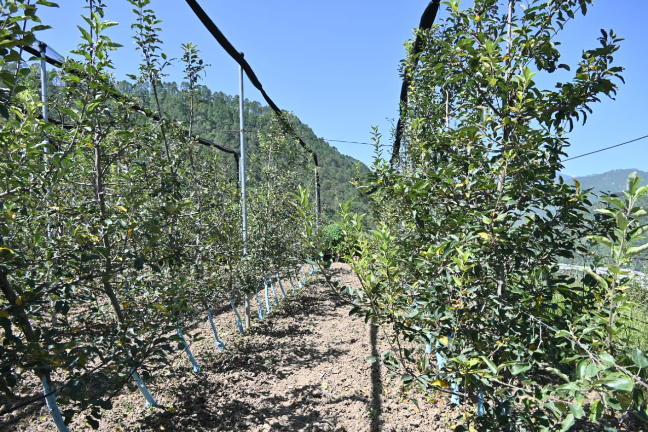 कृषि मंत्री गणेश जोशी ने बड़कोट के उपराडी गांव में सेब के बगीचे का किया स्थलीय निरीक्षण
