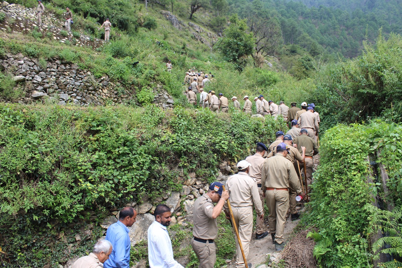 उत्तरकाशी : गाजण पट्टी क्षेत्र में करीब 300 नाली भू भाग पर पैदा की गई प्रतिबंधित भांग की खेती को किया नष्ट