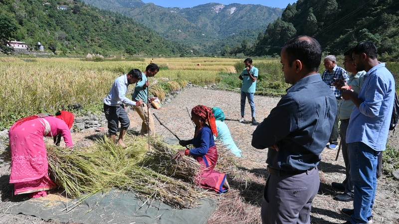 फसलों की औसत उपज और उत्पादन के आंकड़े संकलन को लेकर डीएम मयूर दीक्षित पहुंचे जड़धारगांव चंबा
