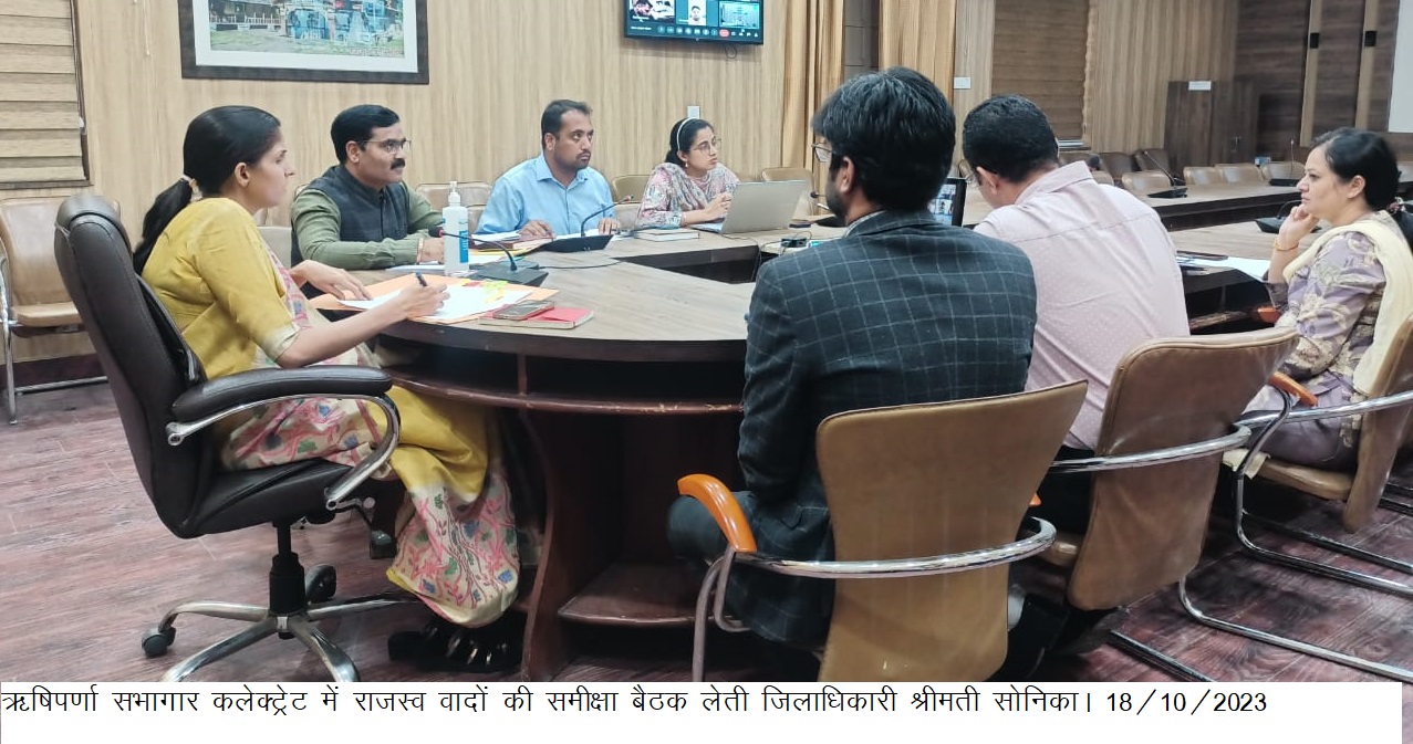 डीएम सोनिका ने की राजस्व वादों की समीक्षा, एसडीएम एवं तहसीलदारों को अभियान चलाकर वाद निस्तारण कार्यों में तेजी लाने के दिए निर्देश