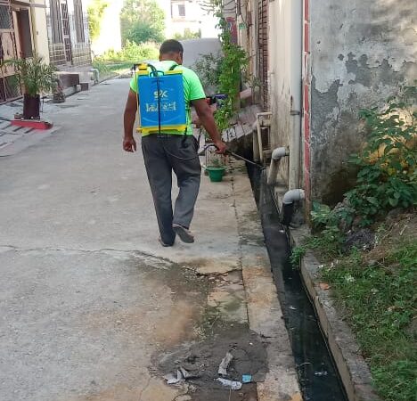 डीएम धीराज सिंह गर्ब्याल के निर्देश पर डेंगू के खिलाफ अभियान जारी, जिले में दवा छिडकाव के साथ ब्लड सैम्पलिंग व जांच शिविरों का किया जा रहा है आयोजन