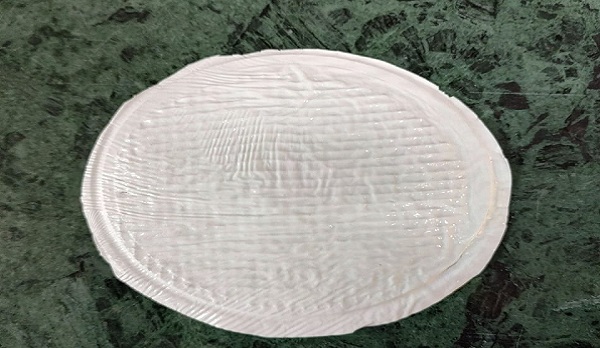 आईआईटी रूड़की की गेम-चेंजिंग तकनीक ने स्वस्थ व अधिक प्रभावी दूध प्रसंस्करण का मार्ग किया प्रशस्त