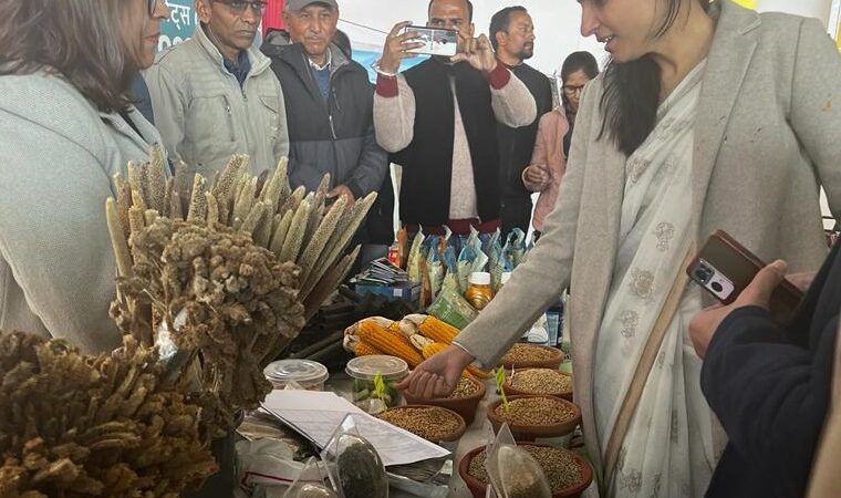 देहरादून : विकासखण्ड सहसपुर के ग्राम भगवंतपुर में विकसित भारत संकल्प यात्रा कार्यक्रम के तहत् आयोजित हुआ बहुउद्देशीय शिविर, डीएम सोनिका ने विभिन्न विभागों के स्टॉलों का अवलोकन करते हुए दिए आवश्यक दिशा-निर्देश