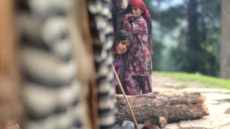 द नोमैड्स लैंड : वन गुज्जर्स – हिमालय की गोद में खेलती खानाबदोश सांसें
