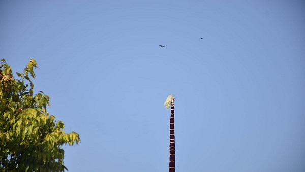 आस्था के महाकुंभ का साक्षी बनने को उमड़ा भारी जन सैलाब, श्री गुरु राम राय जी महाराज व श्रीमहंत देवेन्द्र दास जी महाराज के जयकारों से गूंजी द्रोणनगरी, श्री दरबार साहिब में शाम 04 बजकर 25 मिनट पर हुआ श्री झण्डे जी का आरोहण