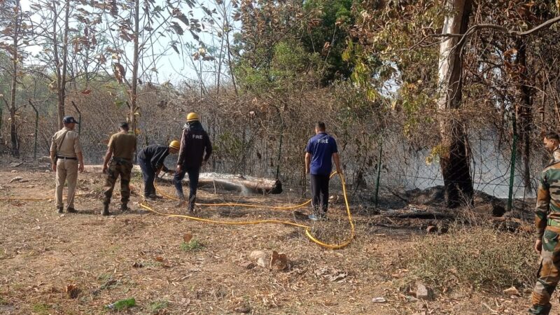 बनबसा आर्मी कैंट के अंदर जंगल में लगी आग, अग्निशमन टीम ने त्वरित कार्यवाही कर पाया आग पर काबू