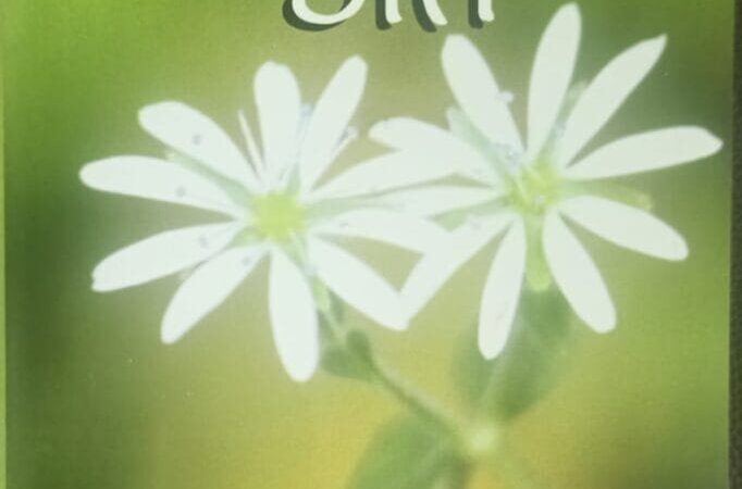 मुनि ब्रह्म गुलाल नाट्यश्री अलंकरण से सम्मानित हुए प्रख्यात साहित्यकार महावीर रवांल्टा