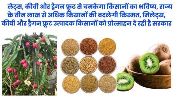 मिलेट्स, कीवी और ड्रैगन फ्रूट से चमकेगा किसानों का भविष्य, राज्य के तीन लाख से अधिक किसानों की बदलेगी किस्मत