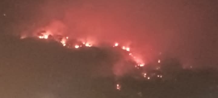 लैंसडौन वन प्रभाग की कोटद्वार रेंज की लालपानी बीट के जंगलों में लगी आग