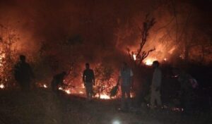 कोटद्वार रेंज के लालपानी वन बीट भूमि पर आग लगाती महिला पर मुकदमा दर्ज, वनाग्नि रोकने के लिए सभी क्षेत्रवासियों से की अपील, 40 से ज्यादा वनकर्मी दिन रात आग बुझाने में रहे मुस्तैद