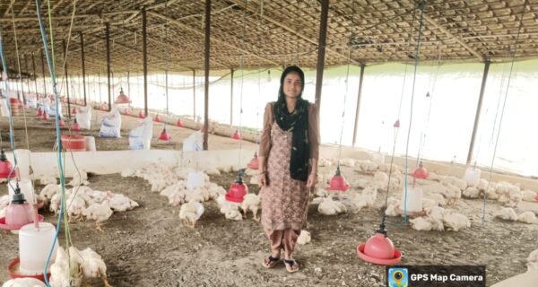 मुर्गी पालन बना आजीविका का सशक्त साधन, ग्रामोत्थान परियोजना से लाठरदेवा हूण की रुकसार को मिली नई दिशा