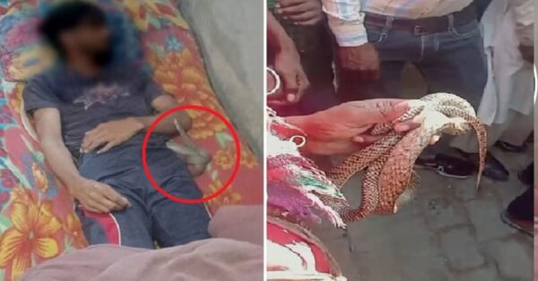 मेरठ में सौरभ हत्याकांड जैसी वारदात : पत्नी ने प्रेमी संग मिलकर रची खौफनाक साजिश, पति की हत्या कर सांप से कटवाया! पोस्टमार्टम में खुला राज