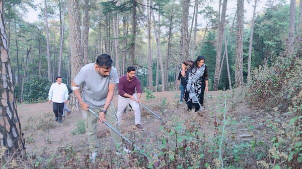 डीएम डॉ. आशीष चौहान की अनूठी पहल, पिरूल एकत्रीकरण से बचाएंगे जंगल, संवरेगा जीवन