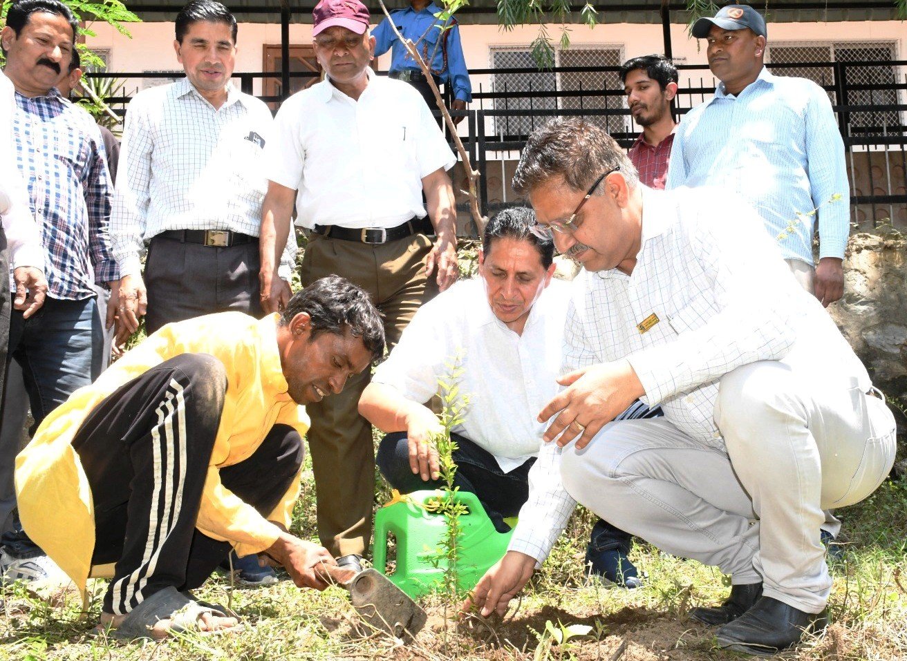 टीएचडीसी ने सियासैण में किया पर्यावरण संरक्षण का पौधरोपण