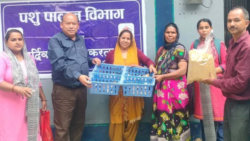 पशुपालन विभाग ने काश्तकारों को बांटी बैकयार्ड कुक्कुट इकाई