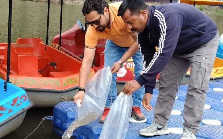 मत्स्य विभाग ने कोलिढेक और श्यामला ताल झील में डाले 50-50 हजार मत्स्य बीज