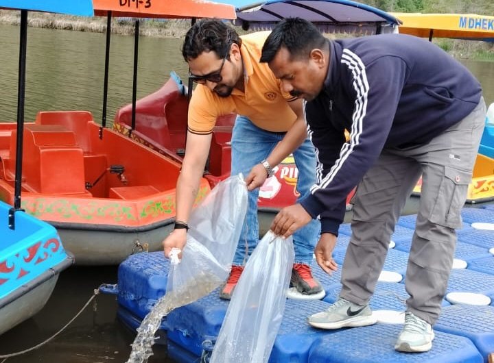 मत्स्य विभाग ने कोलिढेक और श्यामला ताल झील में डाले 50-50 हजार मत्स्य बीज