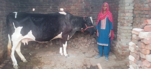 खानपुर : सीमांत ग्राम सिकन्दरपुर की ममता देवी की रीप परियोजना से बदली किस्मत, बनीं गांव के लिए प्रेरणास्त्रोत