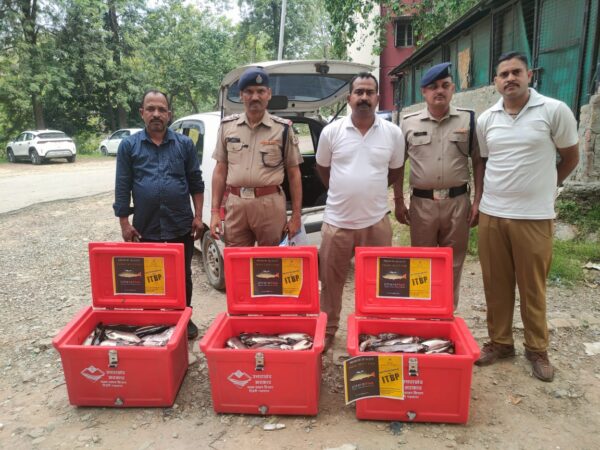 सेना के जवान लेंगे टिहरी की ट्रॉउट फिश का आनन्द, मत्स्य विभाग टिहरी गढ़वाल ने आईटीबीपी को 01 कुंतल से अधिक ट्रॉउट फिश की सप्लाई