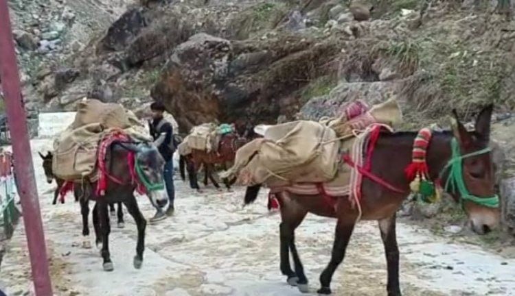 केदारनाथ यात्रा मार्ग पर घोड़े-खच्चरों के संचालन पर 24 घंटे की रोक