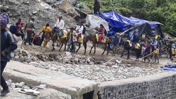 घोड़े-खच्चरों के संचालन पर 24 घंटे की रोक, 14 की संदिग्ध मौत के बाद सख्ती!