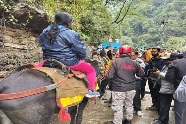 केदारनाथ यात्रा : बगैर जांच के यात्रा पर नहीं जायेंगे घोड़े-खच्चर, बढाई गई डंडी-कंडी की संख्या