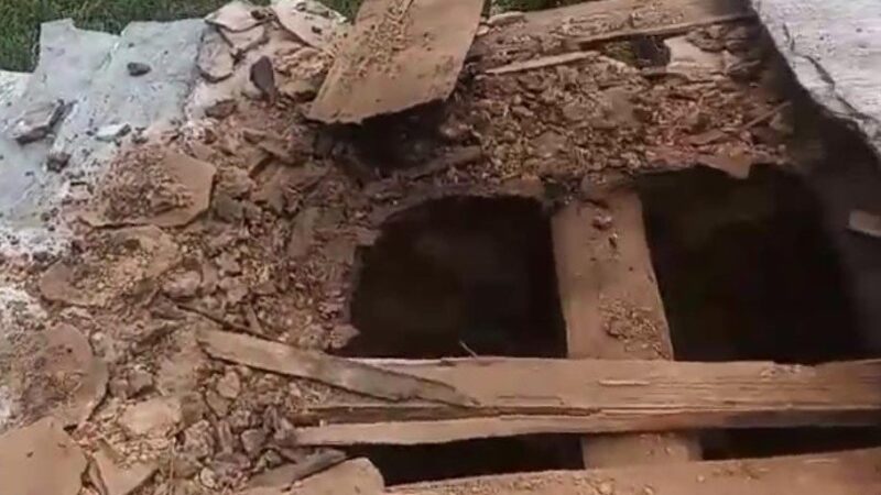 पोखरी विकास खंड के नैल गांव में भालू ने गोशालाओं को किया क्षतिग्रस्त