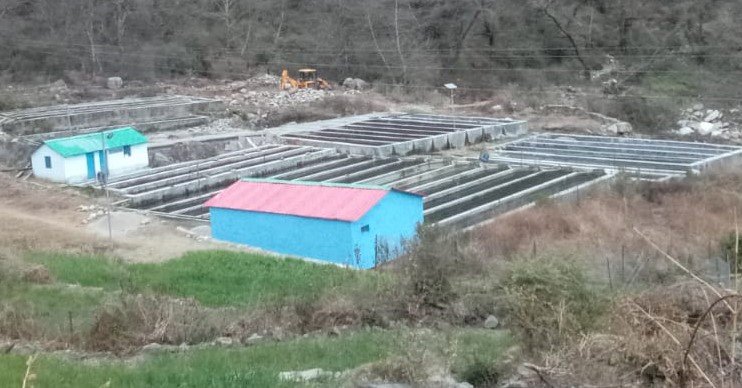 चमोली के मोहन सिंह बिष्ट बने स्वरोजगार की मिसाल, मत्स्य पालन से बदली गांव की तस्वीर