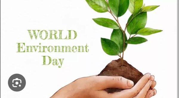 पर्यावरण जनजागरूकता अभियान : सौड़-सांकरी में विश्व पर्यावरण दिवस पर होगा विशेष आयोजन