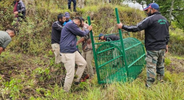 एकेश्वर ब्लॉक में गुलदार हमले के बाद वन विभाग अलर्ट मोड में, ग्रामीण की मौत के बाद वन विभाग की दो टीमें तैनात, पिंजरे और ट्रैंक्विलाइजिंग टीम सक्रिय