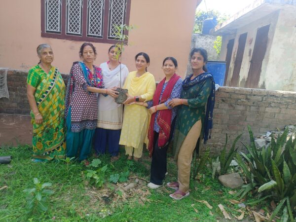 समाजसेवी आशा बलूनी ने पर्यावरण दिवस पर पौधारोपण कर दिया पर्यावरण संरक्षण का संदेश
