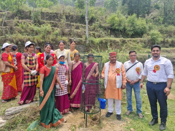 ग्राम गाड़का महरगांव में जल उत्सव का आयोजन, पौधरोपण व स्वच्छता अभियान के साथ ग्रामीणों को किया गया जागरूक