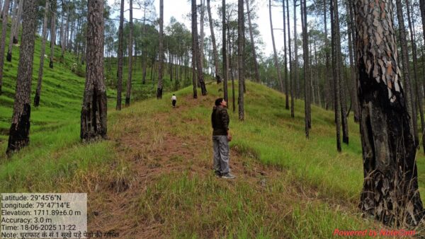 वनाग्नि नियंत्रण में बागेश्वर बना पूरे उत्तराखंड के लिए मिसाल, 12 गुना तक घटीं आग की घटनाएं