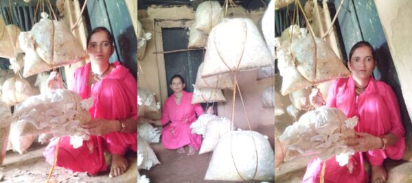 मशरूम उत्पादन से बदली तक़दीर, अब हर महीने 18 हजार कमा रहीं माहेश्वरी देवी