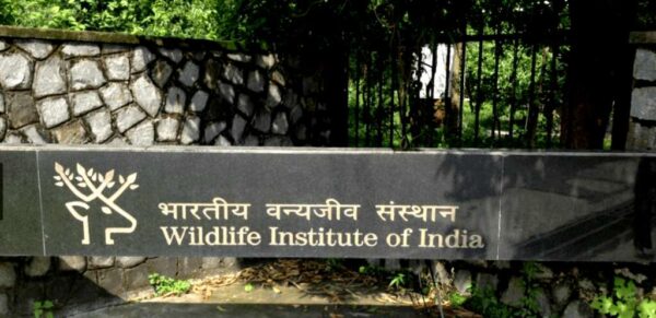 भारतीय वन्यजीव संस्थान देहरादून ICCON 2025 की करेगा मेजबानी