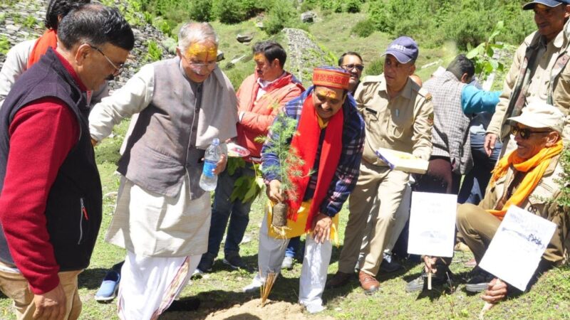 बदरीनाथ धाम में बीकेटीसी ने किया पौधरोपण