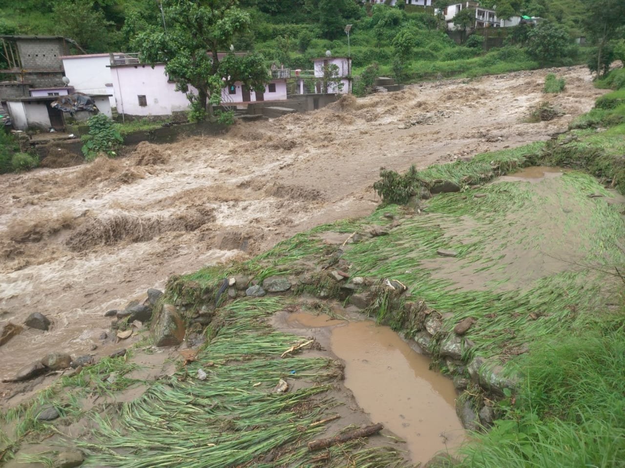 बादल फटने से दो गोशाला क्षतिग्रस्त, 11 आवासीय भवनों को खतरा