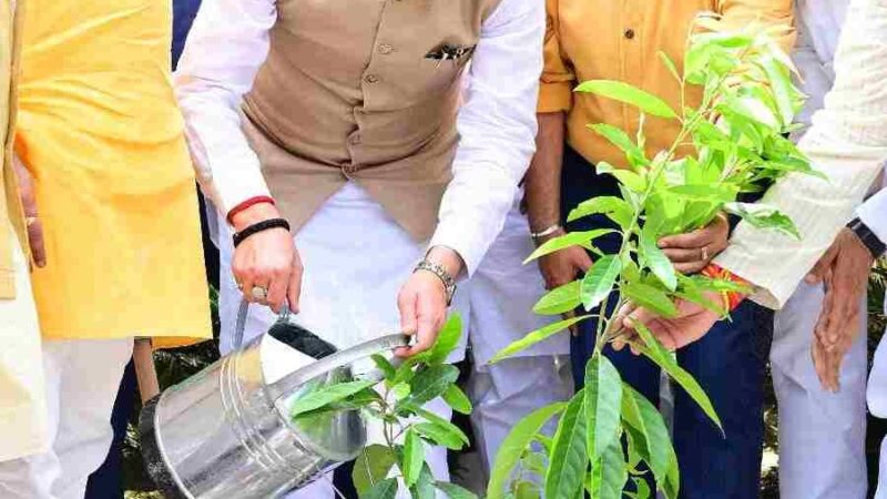 मुख्यमंत्री पुष्कर सिंह धामी ने एक पेड़ मां के नाम अभियान के तहत किया पौधारोपण