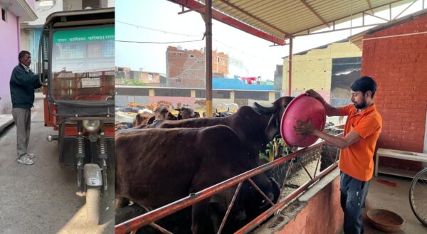 नगर पालिका परिषद रामनगर की अनोखी पहल बनी देश के लिए मिसाल, किचन वेस्ट से गौ माताओं का पोषण …………