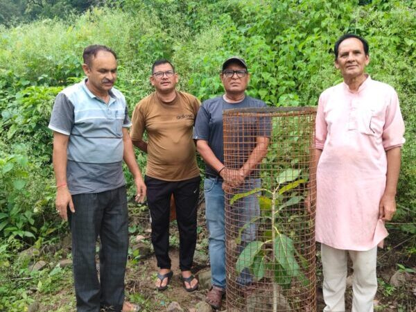 जड़ी बूटी दिवस पर किया पौधरोपण