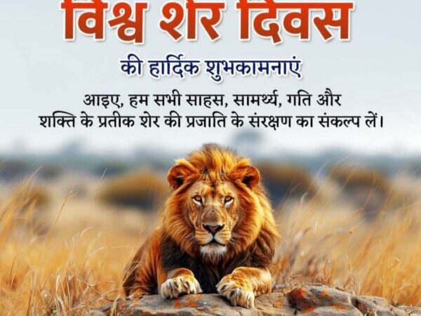 जानें शेरों Lions के बारें में महत्वपूर्ण जानकारी एवं रोचक तथ्य ………