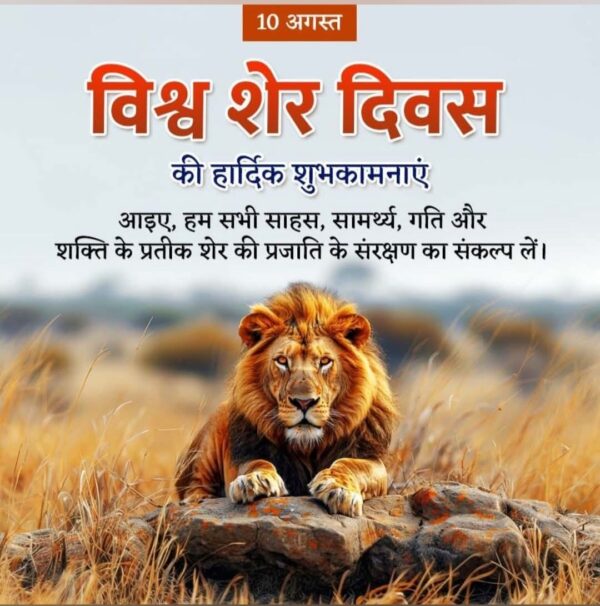 जानें शेरों Lions के बारें में महत्वपूर्ण जानकारी एवं रोचक तथ्य ………