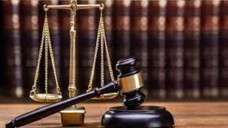 सुप्रीम कोर्ट का बड़ा आदेश : नसबंदी-टीकाकरण के बाद आवारा कुत्ते छोड़े जाएंगे उसी क्षेत्र में, सार्वजनिक स्थानों पर खिलाने पर रोक