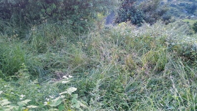 फसलों की सुरक्षा को लेकर लगे चैन फैसिंग