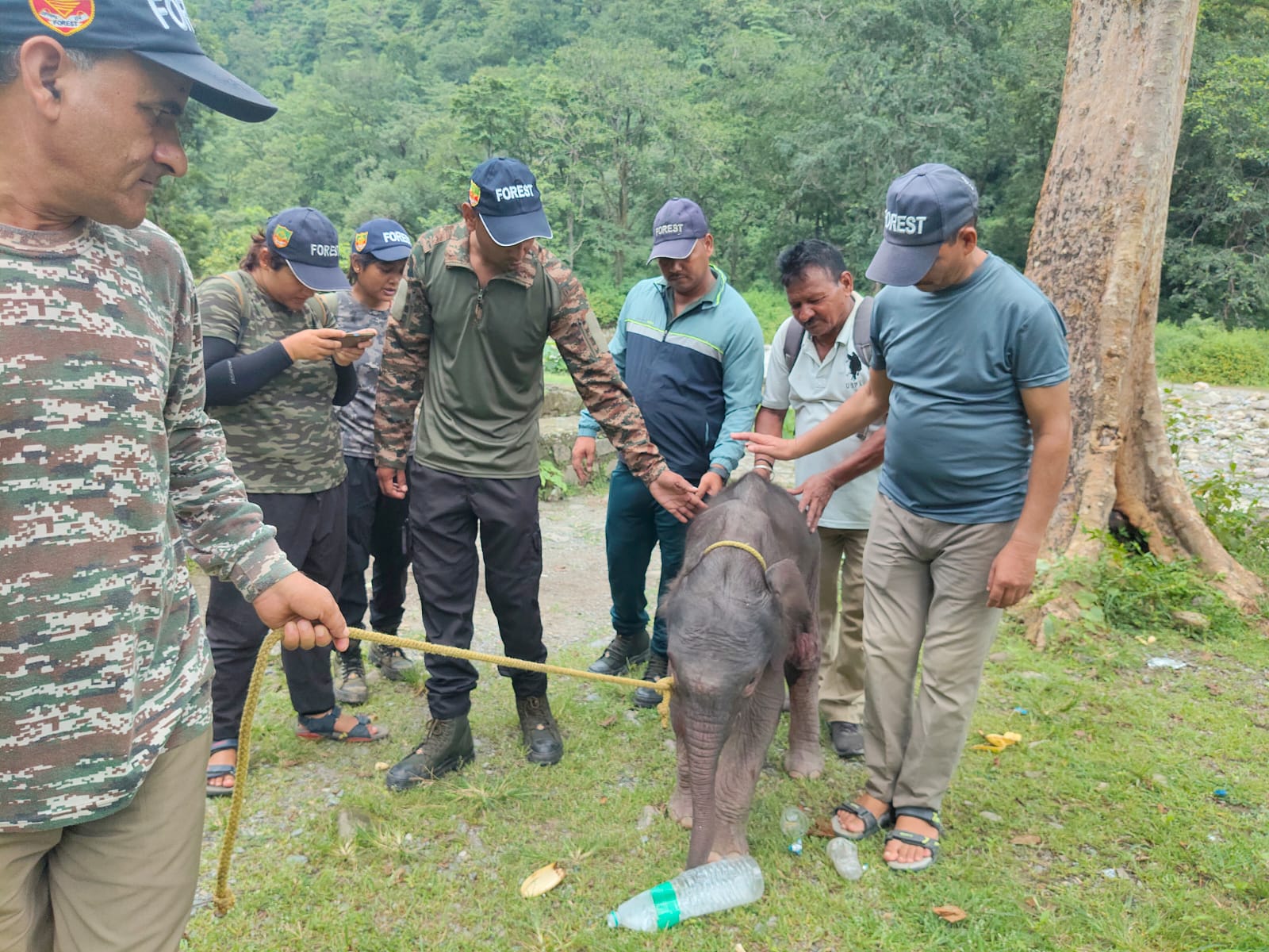 मालन नदी में चट्टान के अंदर फंसा मिला हाथी का बच्चा, वन विभाग ने रेस्क्यू कर सुरक्षित निकाला बाहर