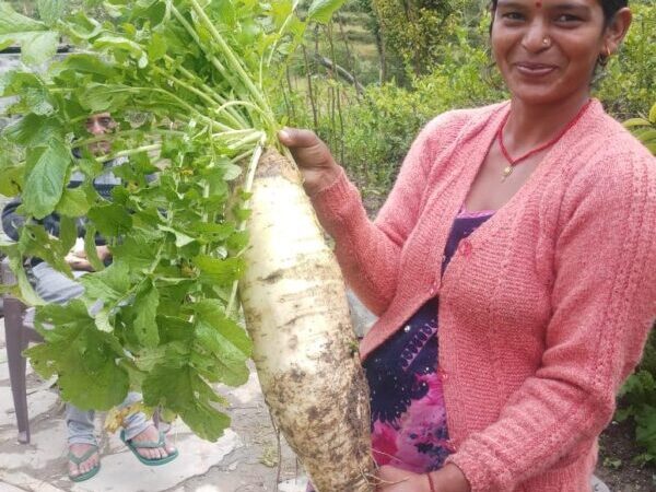 पौड़ी गढ़वाल की रोशमा देवी बनीं प्रेरणा, खेती से की आत्मनिर्भरता की मिसाल पेश, “तीलू रौतेली पुरस्कार” से होंगी सम्मानित