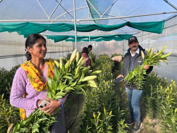 पौड़ी गढ़वाल : ग्रामोत्थान परियोजना बनी रोजगार की संजीवनी, 4994 महिलाएं बनीं लखपति दीदी !