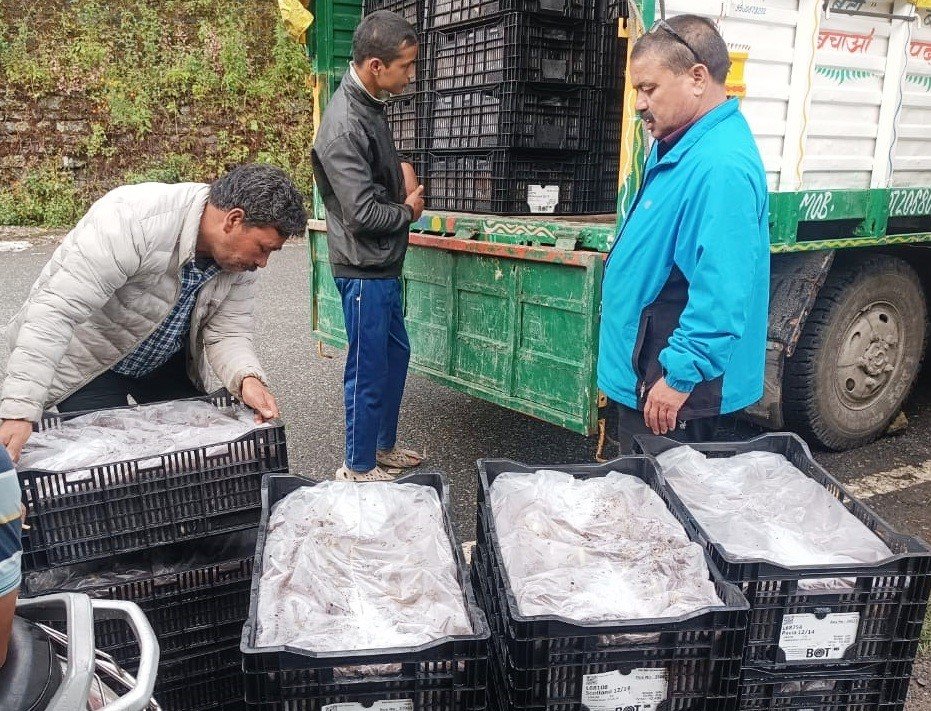 काश्तकारों की आय बढ़ाने को लीलियम खेती की कवायद