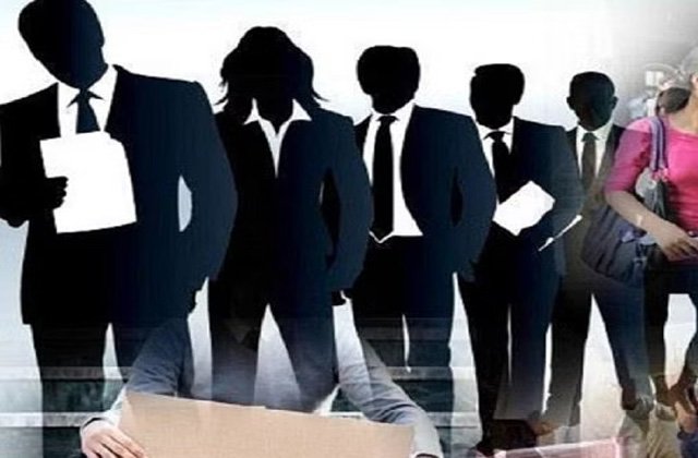 बेरोजगार युवाओं को सुनहरा अवसर, प्रशिक्षण प्राप्त कर करें स्वरोजगार शुरू